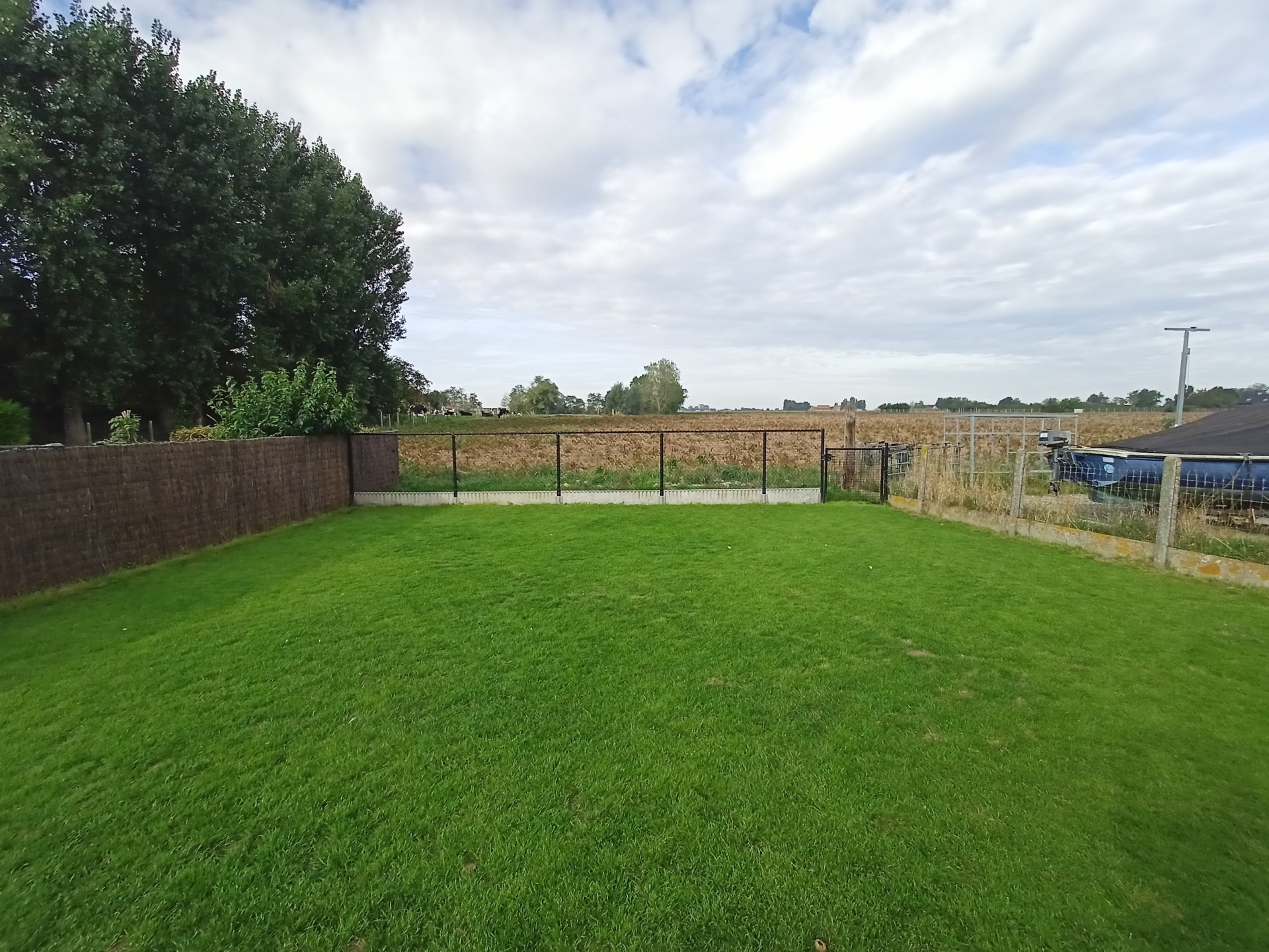 Alveringem: woning met grote tuin 