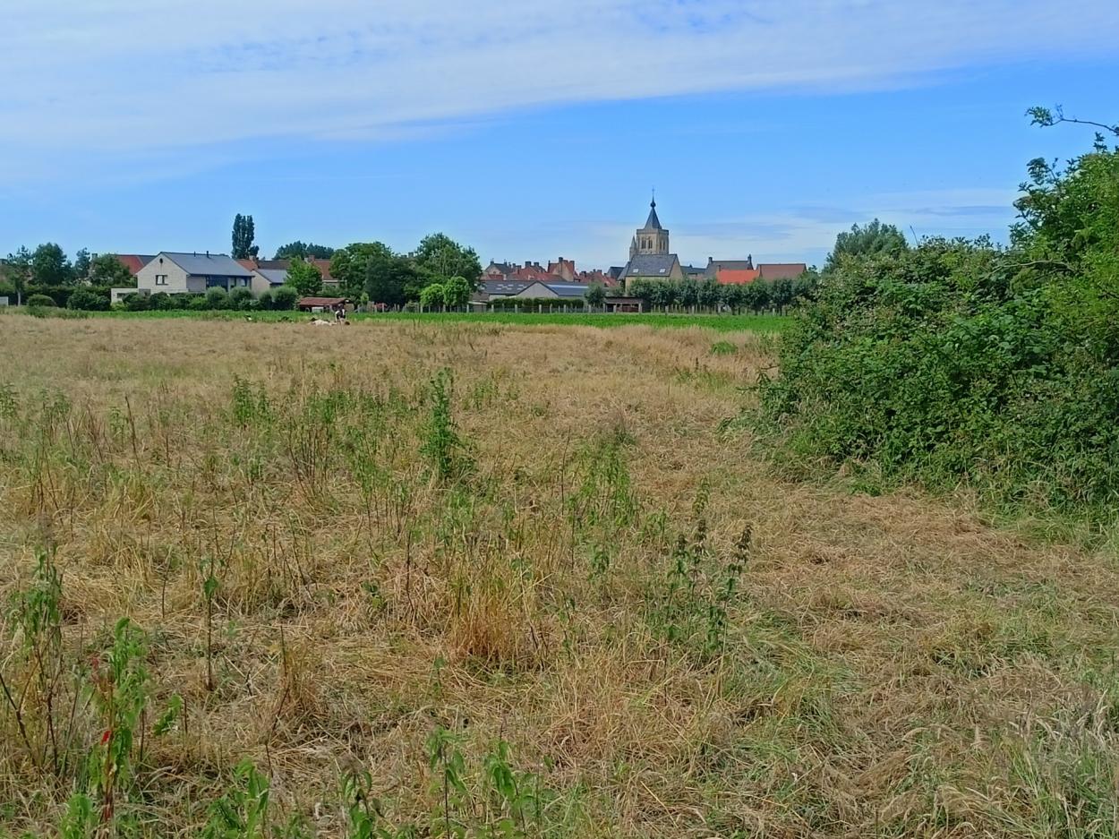 Alveringem Prairie à vendre