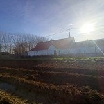 A l'extérieur de la Belgique